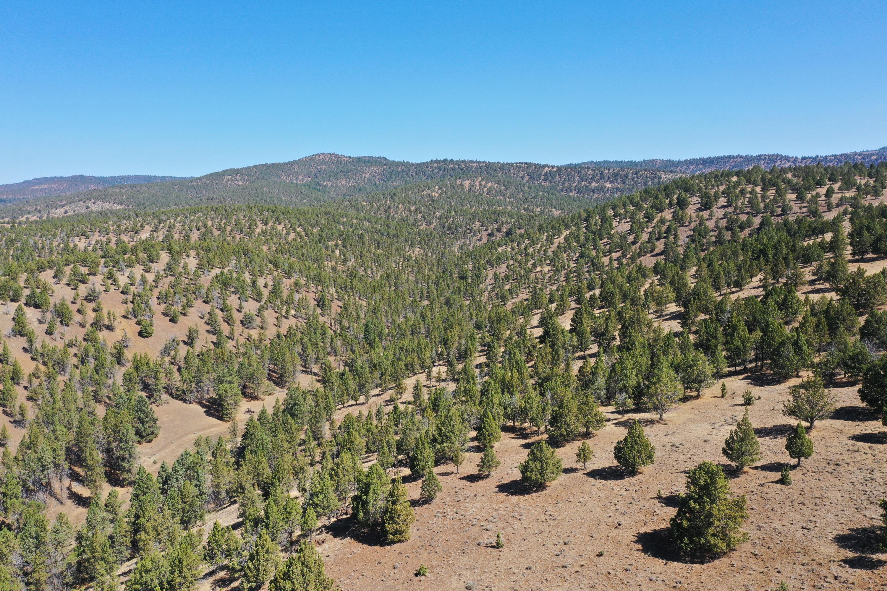 2400 Wiley Creek Road Mount Vernon, OR 97865 - Photo 6 of 34 DJI_0402