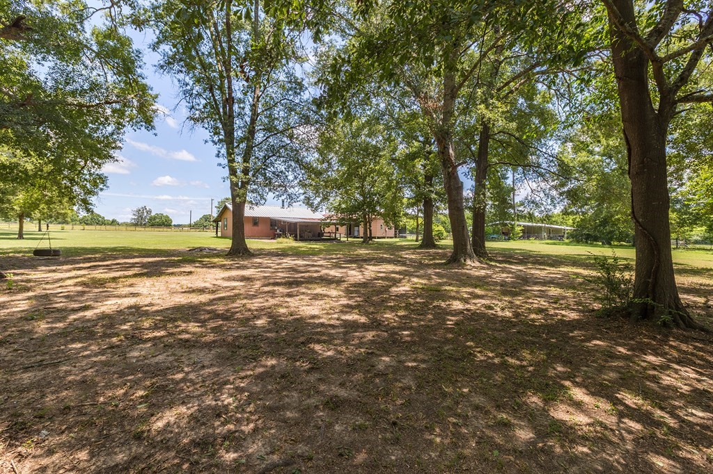 957 Dewitt Hinson Road Pollok, TX 75969 - Photo 22 of 28