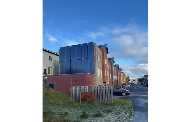 a view of a backyard with plants and wooden fence