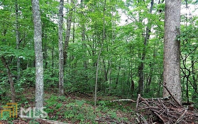 0 Cherry Road Hayesville, NC 28904 - Photo 1 of 1 Gallery Image 1