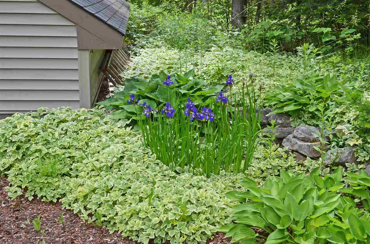 491 Alpine Drive Mount Holly, VT 05758 - Photo 38 of 40
