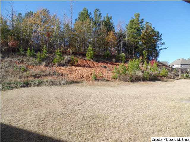 7971 Everetts Loop McCalla, AL 35111 - Photo 17 of 17