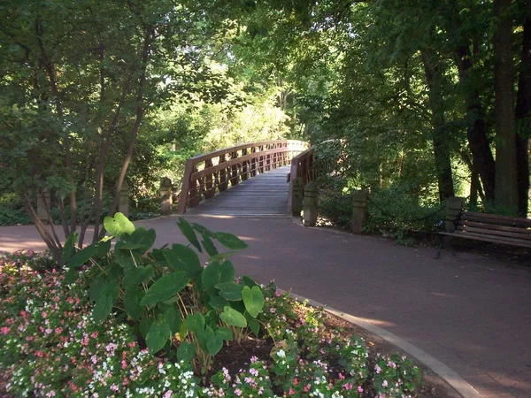 a view of a garden