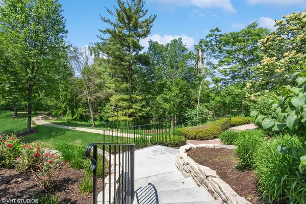 a view of a garden with plants and large trees