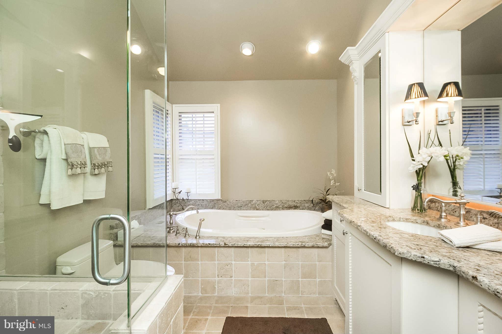 16 Raisin Tree Circle Baltimore, MD 21208 - Photo 20 of 29 Bath (Master)
