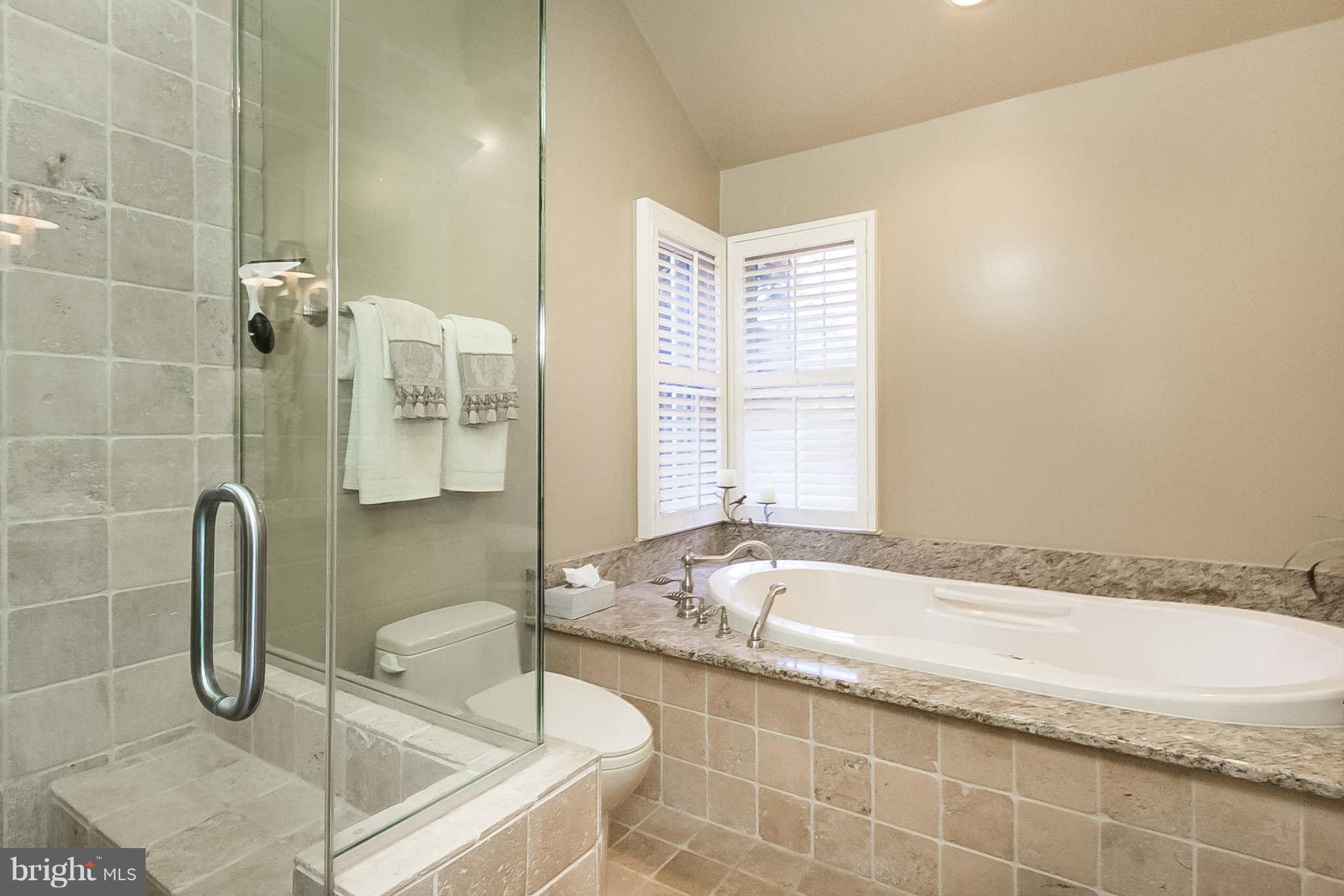 16 Raisin Tree Circle Baltimore, MD 21208 - Photo 21 of 29 Bath (Master)