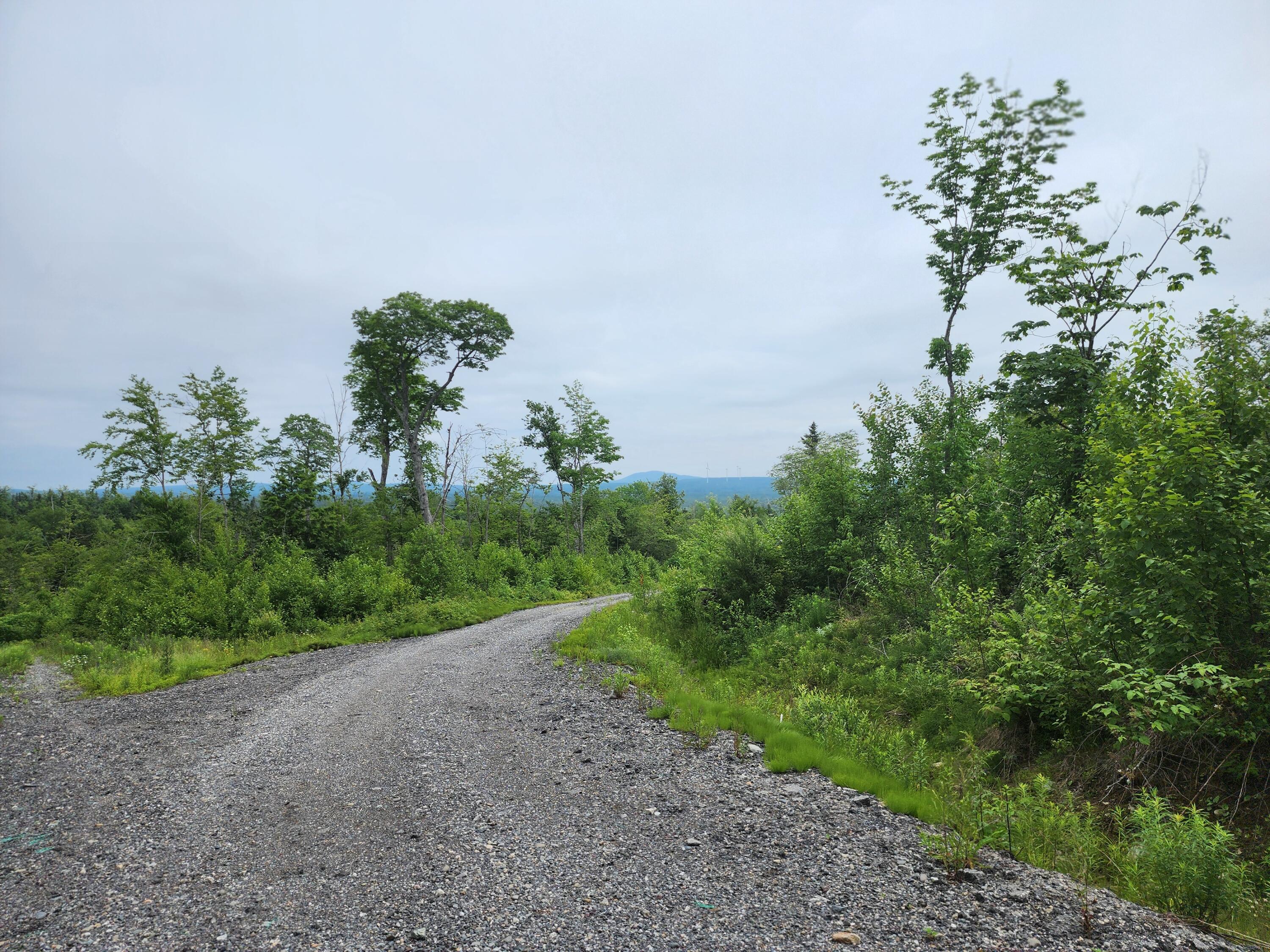 213 Moose Hl Road Ellsworth, ME 04605 - Photo 14 of 34 20250701_113057