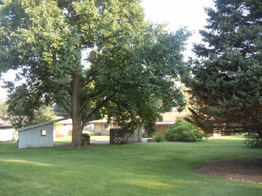 4515 Brookview Road Rockford, IL 61107 - Photo 8 of 8 a view of a trees in a yard