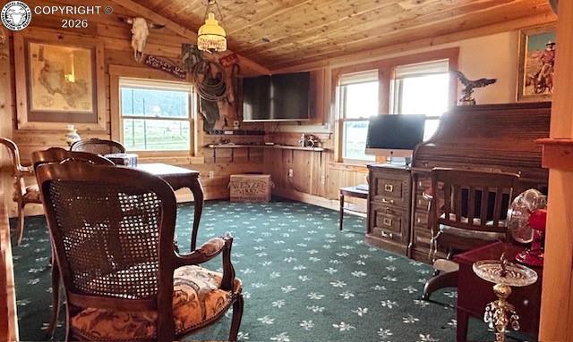 85 Excelsior Road Silver Cliff, CO 81252 - Photo 22 of 37 Gallery Image 22