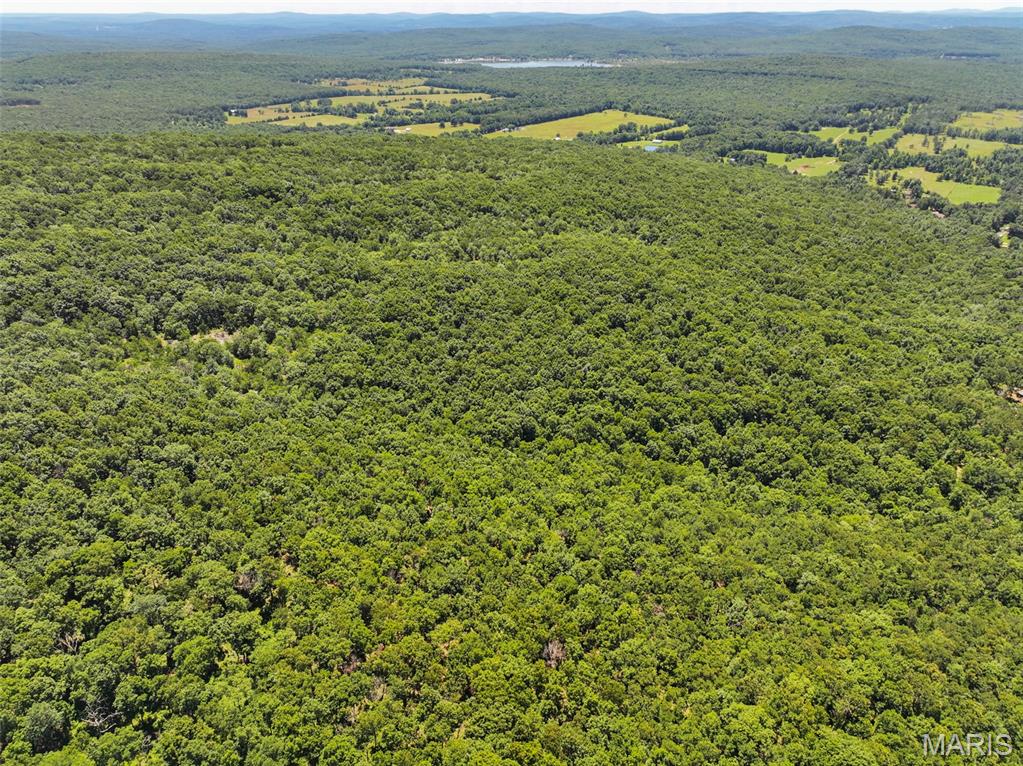 1 King School Road Ironton, MO 63650 - Photo 11 of 27