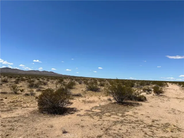 a view of city and ocean