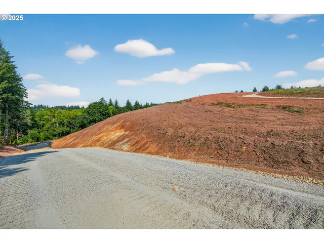 a view of beach and ocean