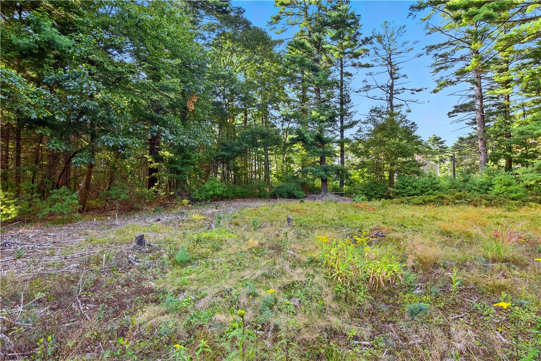 0 T Thomas Parker Road Foster, RI 02825 - Photo 12 of 36