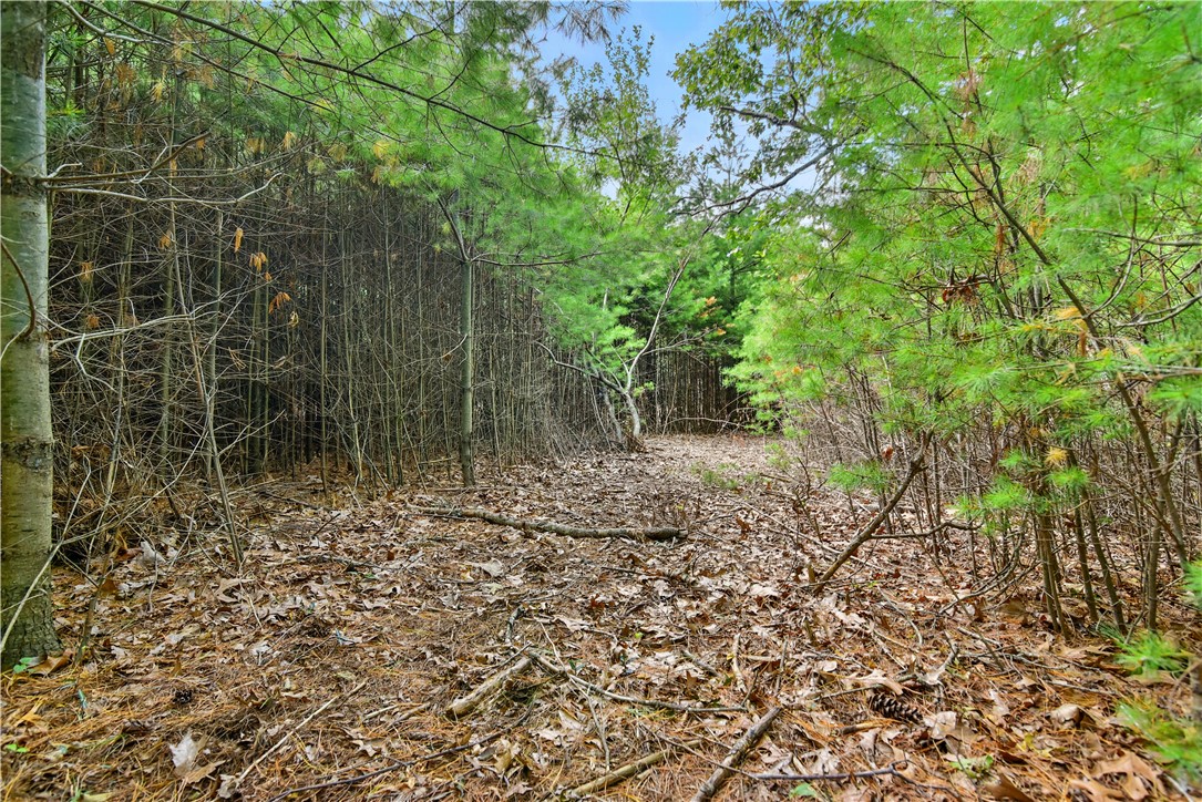 0 T Thomas Parker Road Foster, RI 02825 - Photo 20 of 36