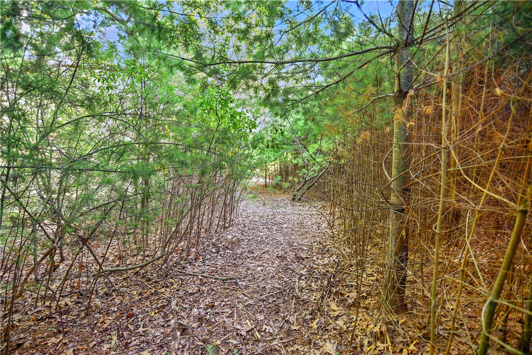 0 T Thomas Parker Road Foster, RI 02825 - Photo 21 of 36
