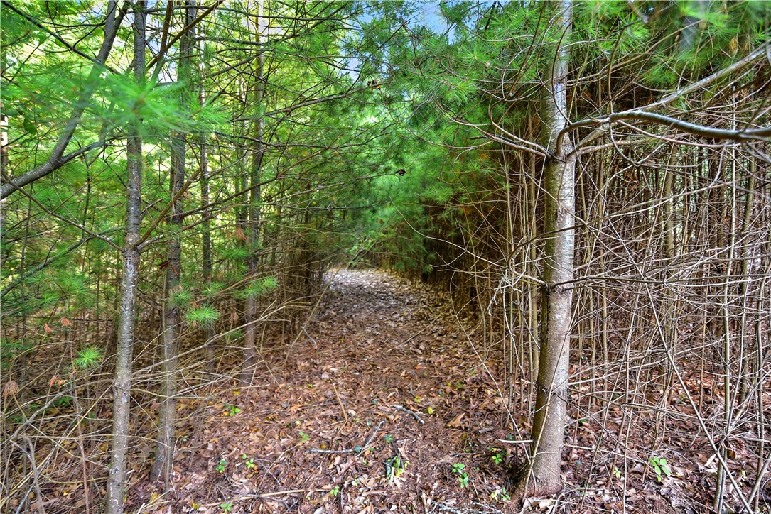 0 T Thomas Parker Road Foster, RI 02825 - Photo 22 of 36