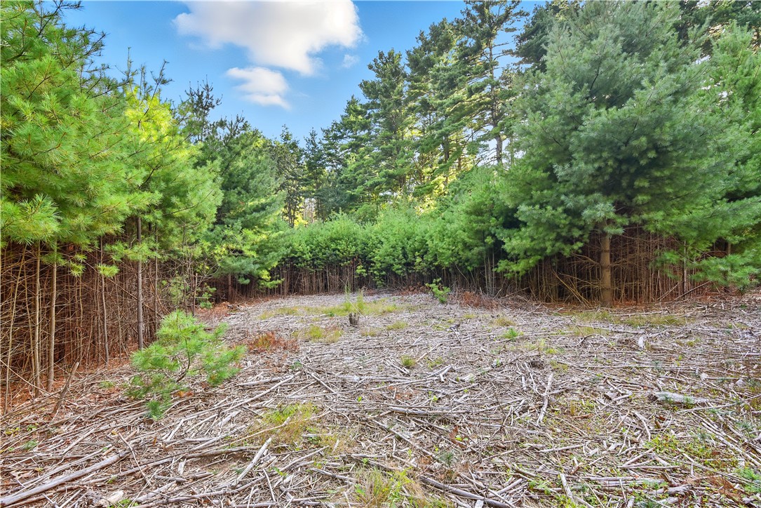 0 T Thomas Parker Road Foster, RI 02825 - Photo 5 of 36