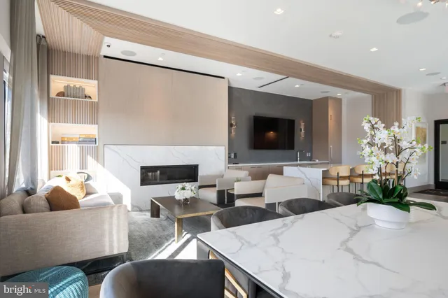 a living room with furniture potted plant and a fireplace