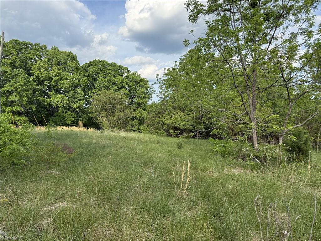 2690 Old Mountain Road Trinity, NC 27370 - Photo 5 of 16