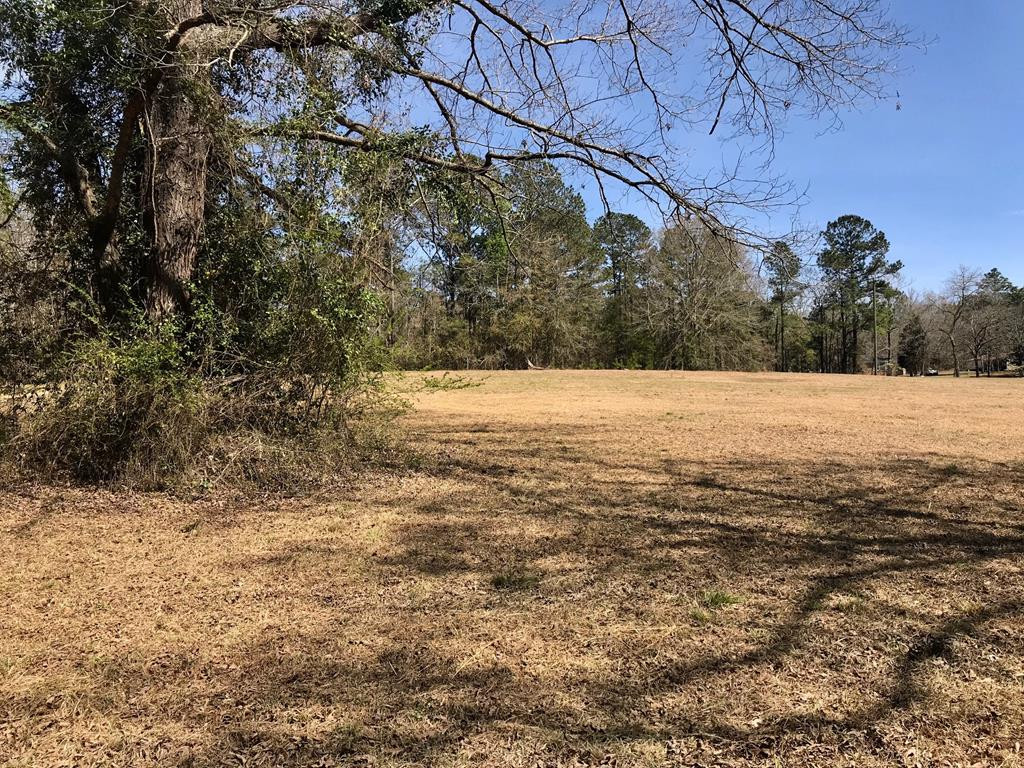 Lot 1 Holiness Church Road Wagener, SC 29164 - Photo 18 of 22