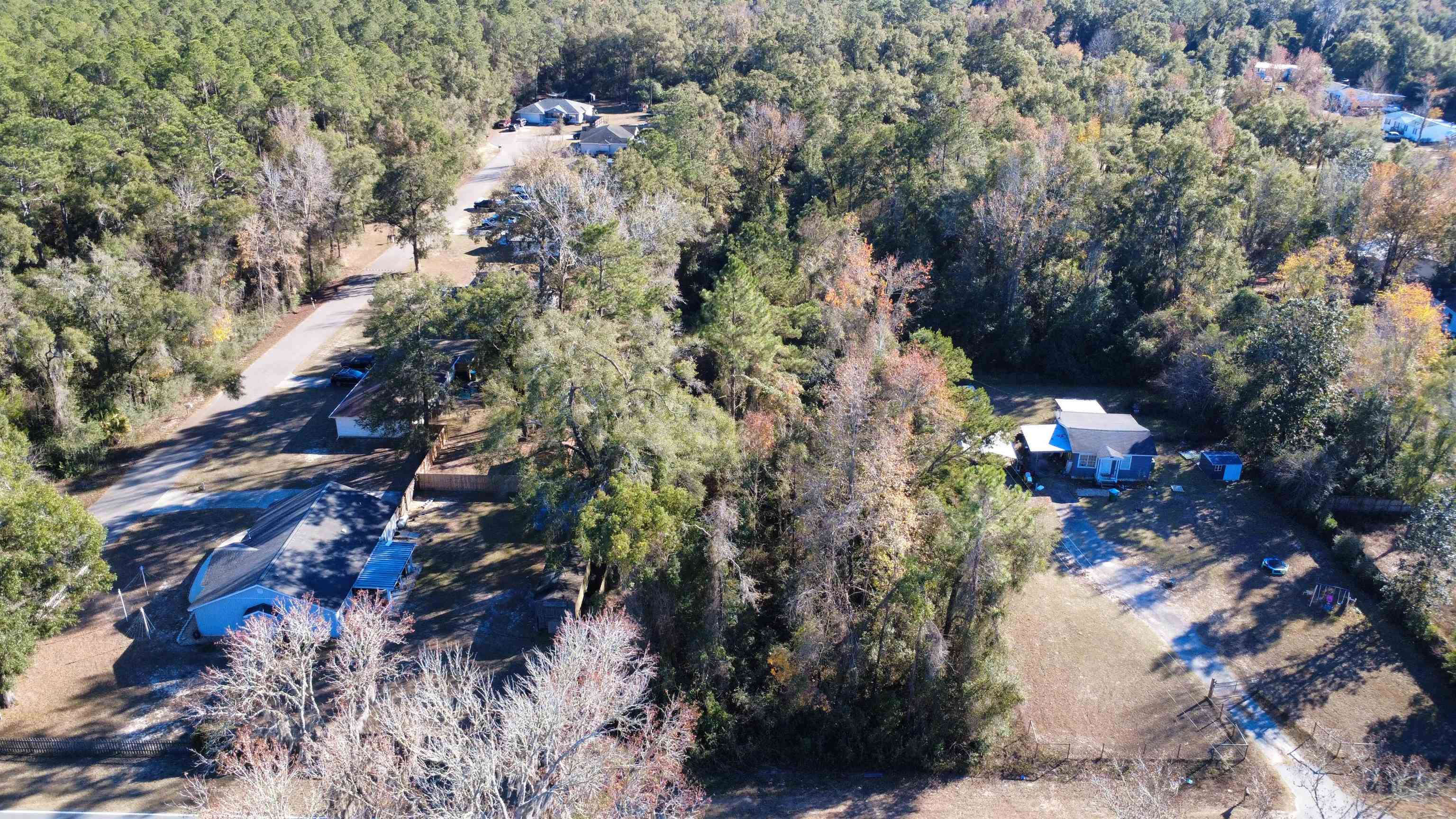 Xx Shadeville Road Crawfordville, FL 32327 - Photo 5 of 9