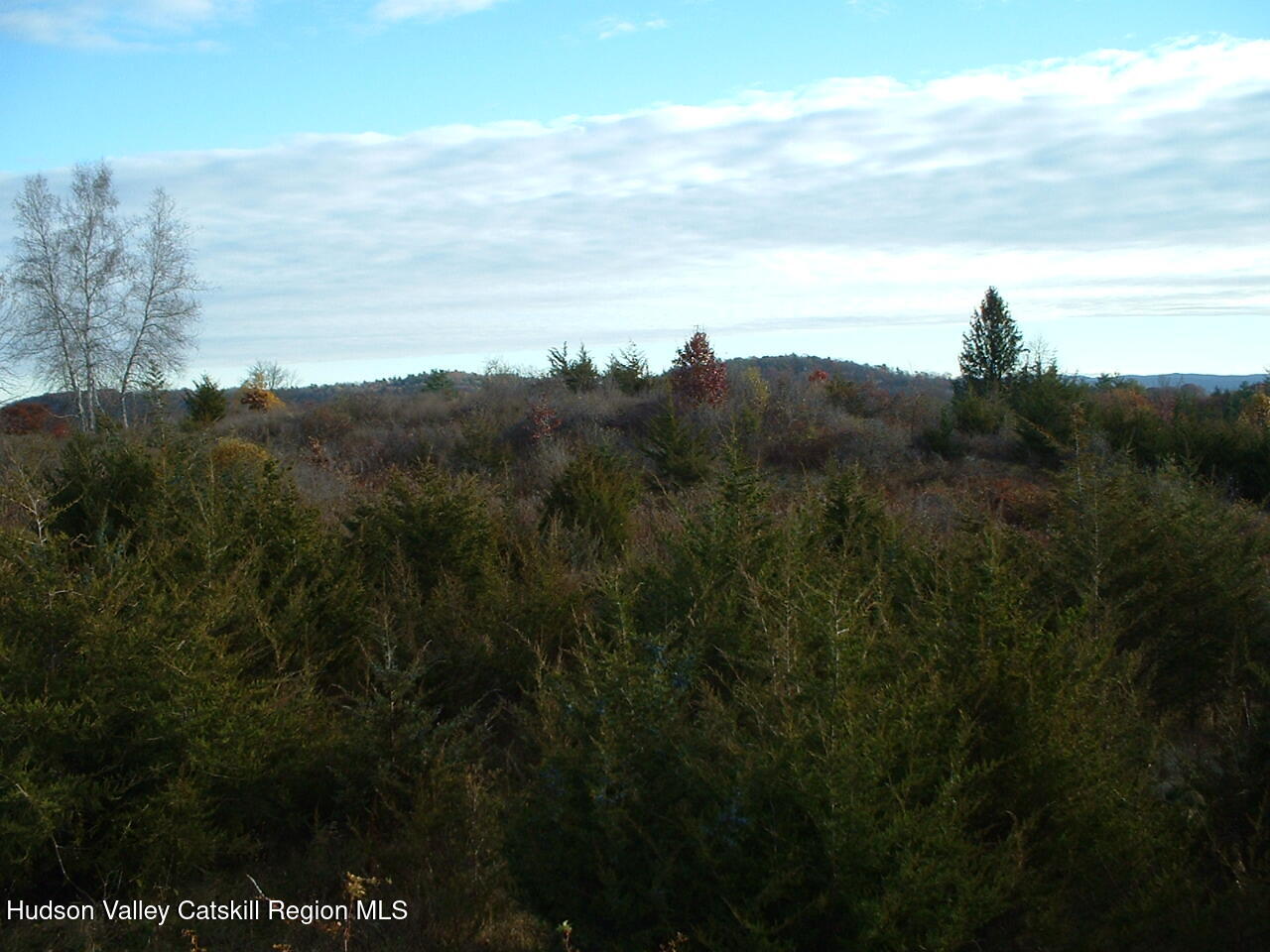 0 Middle Road Hudson, NY 12534 - Photo 4 of 12 a view of a lake in middle of forest