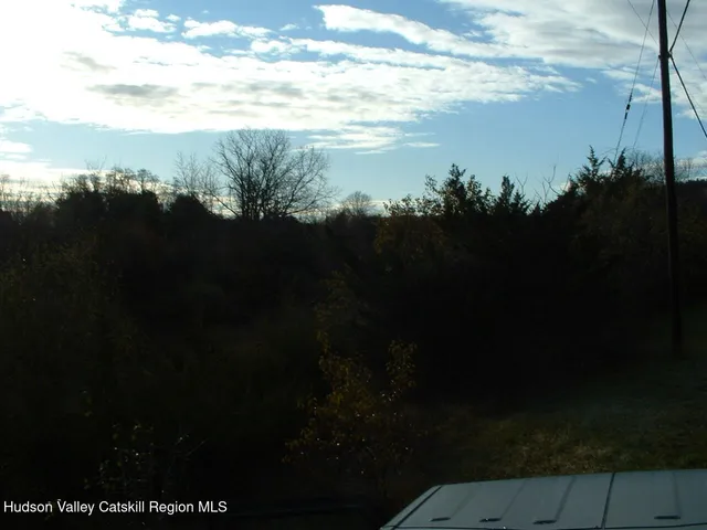 a view of a forest with a forest