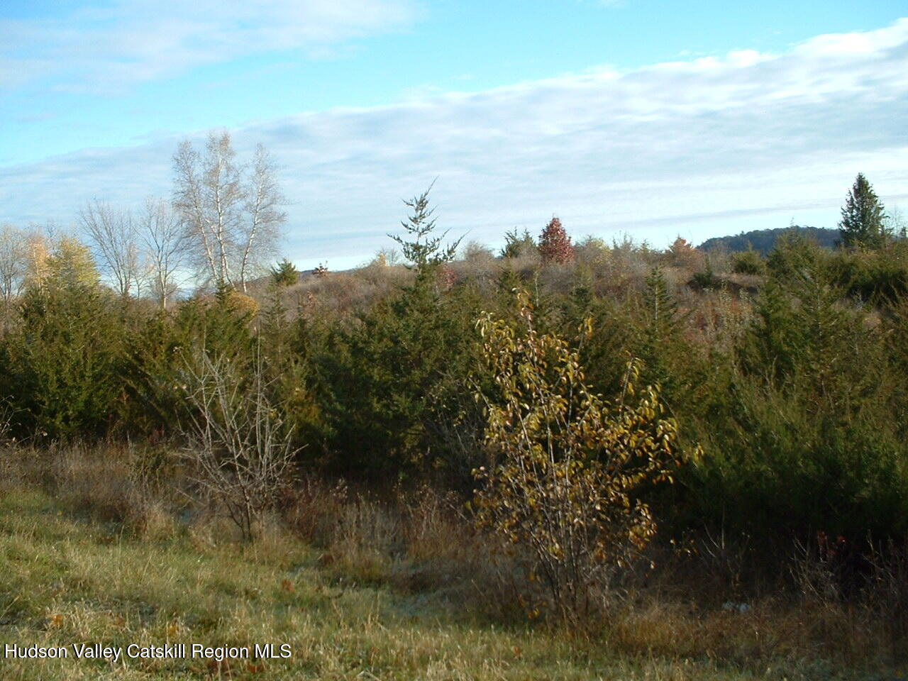 0 Middle Road Hudson, NY 12534 - Photo 10 of 12 a view of a lake in middle of forest
