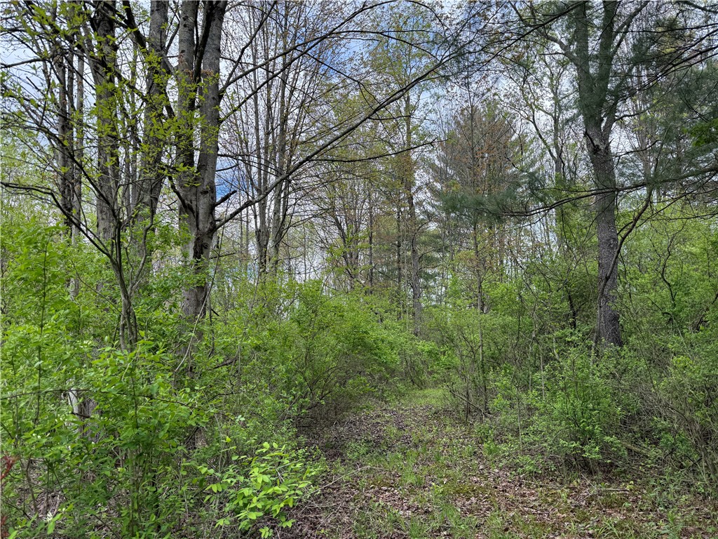 Caswell Road Freeville, NY 13068 - Photo 26 of 47