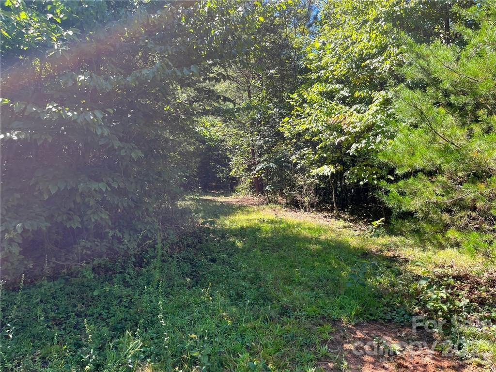 Lot 3 Pearidge Road, Unit 3 Bostic, NC 28018 - Photo 8 of 9 Gallery Image 8