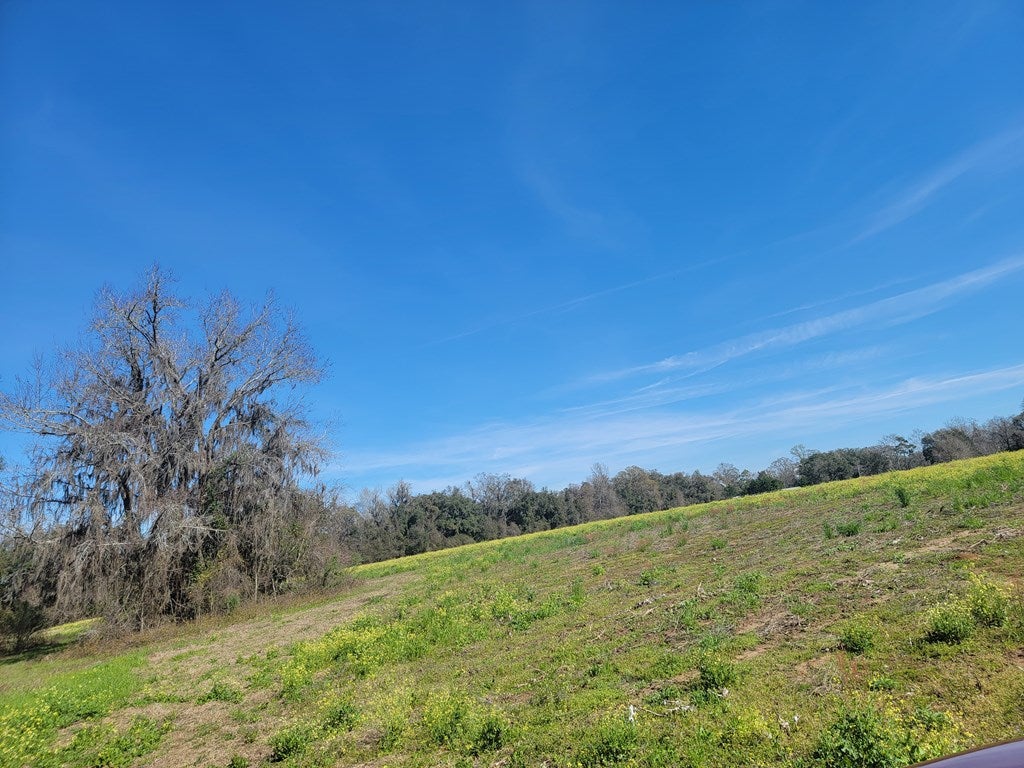 0 Radford Road Quitman, GA 31643 - Photo 7 of 9 Gallery Image 7