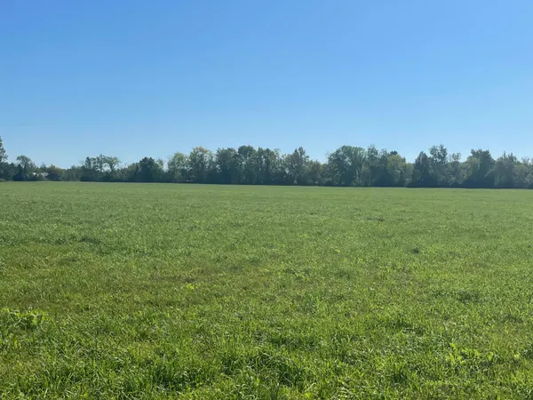 $224,777 | Xxx Xxx 140th, Foreston, MN 56330