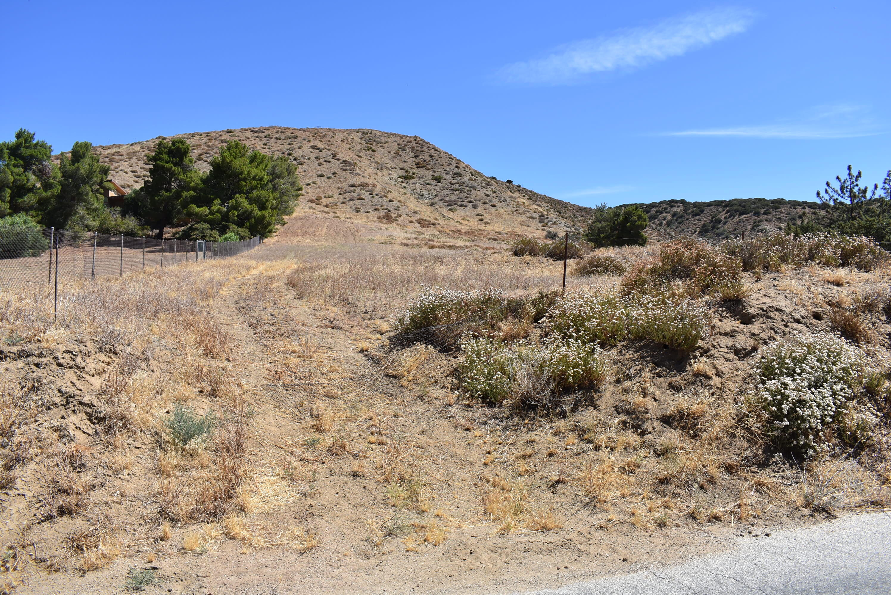 Northside Drive Palmdale, CA 93551 - Photo 22 of 25 a view of a dry yard with mountains in the background