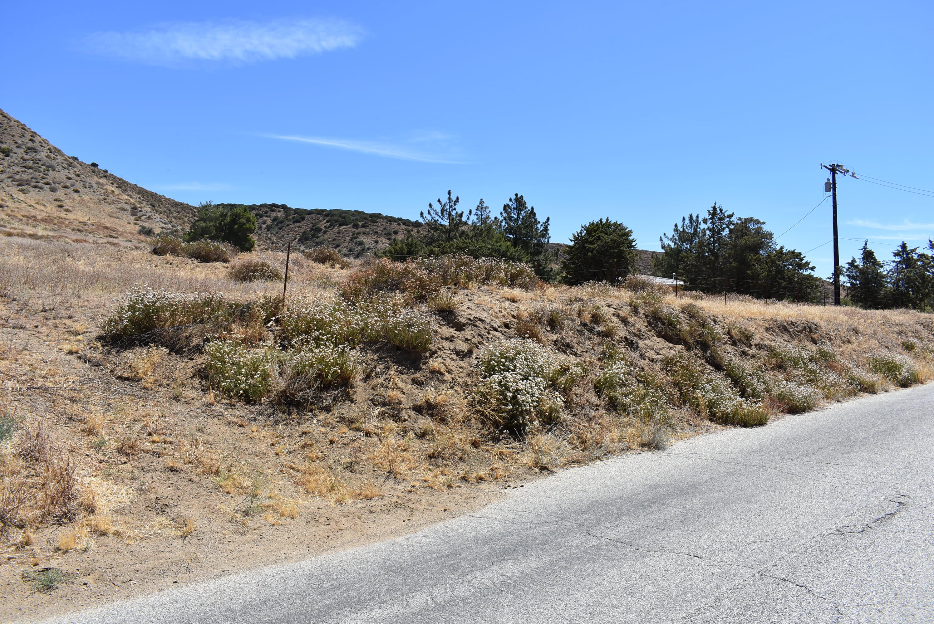 Northside Drive Palmdale, CA 93551 - Photo 24 of 25 a view of a dry yard with mountains in the background