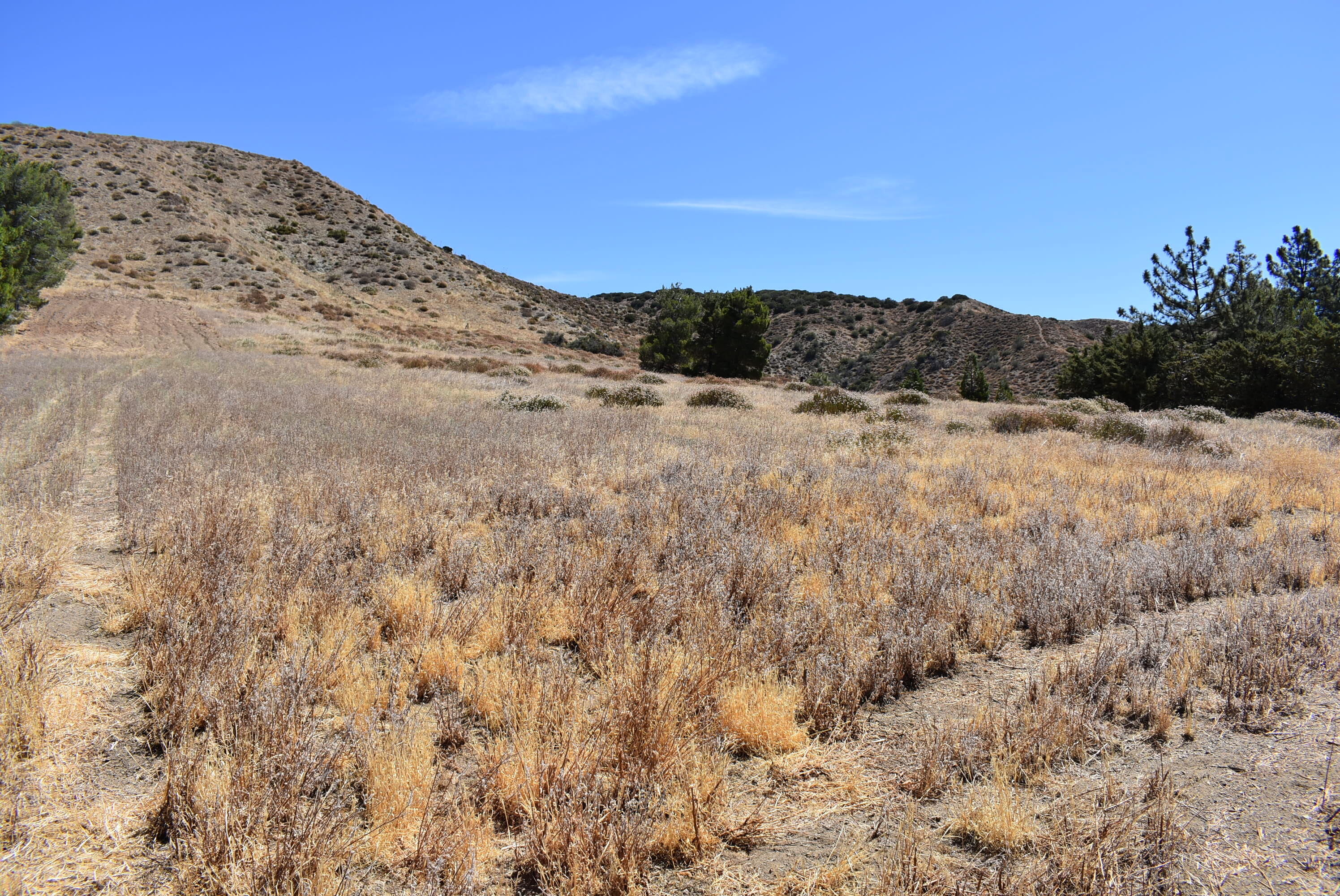 Northside Drive Palmdale, CA 93551 - Photo 25 of 25 a view of a dry yard