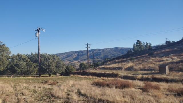Northside Drive Palmdale, CA 93551 - Photo 6 of 25 a view of a dry yard with trees
