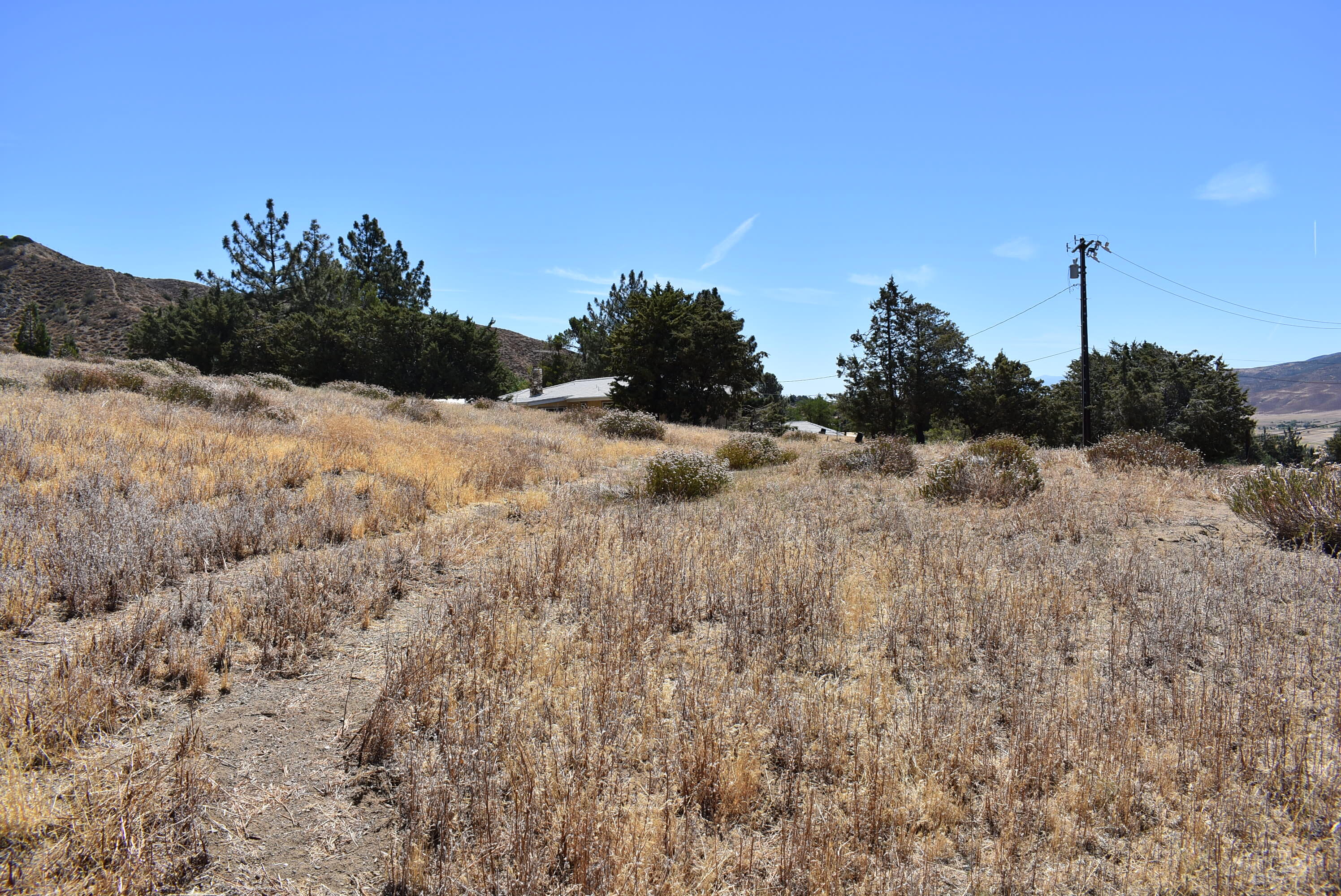 Northside Drive Palmdale, CA 93551 - Photo 7 of 25 a view of a dry yard with trees