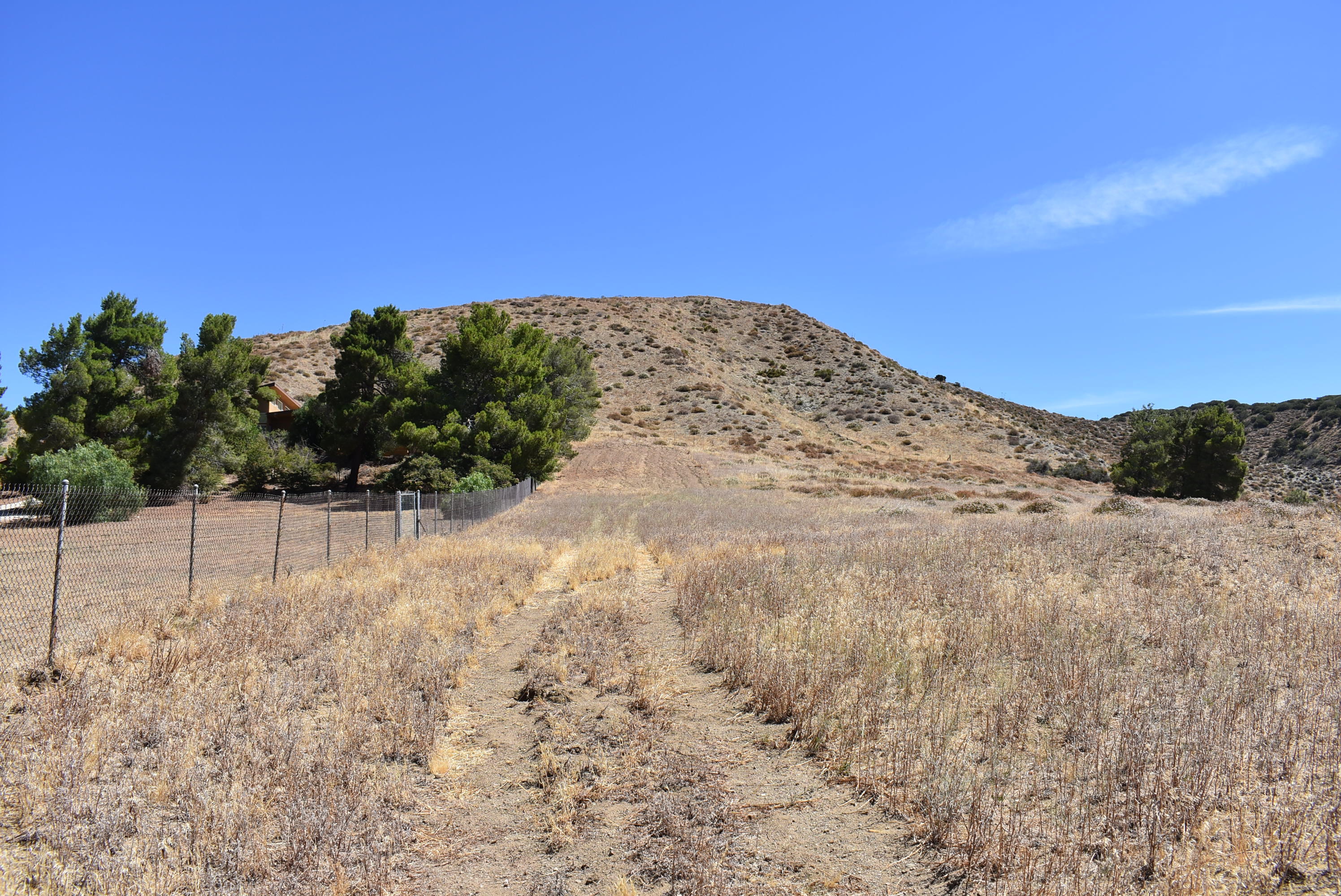 Northside Drive Palmdale, CA 93551 - Photo 10 of 25 a view of a yard