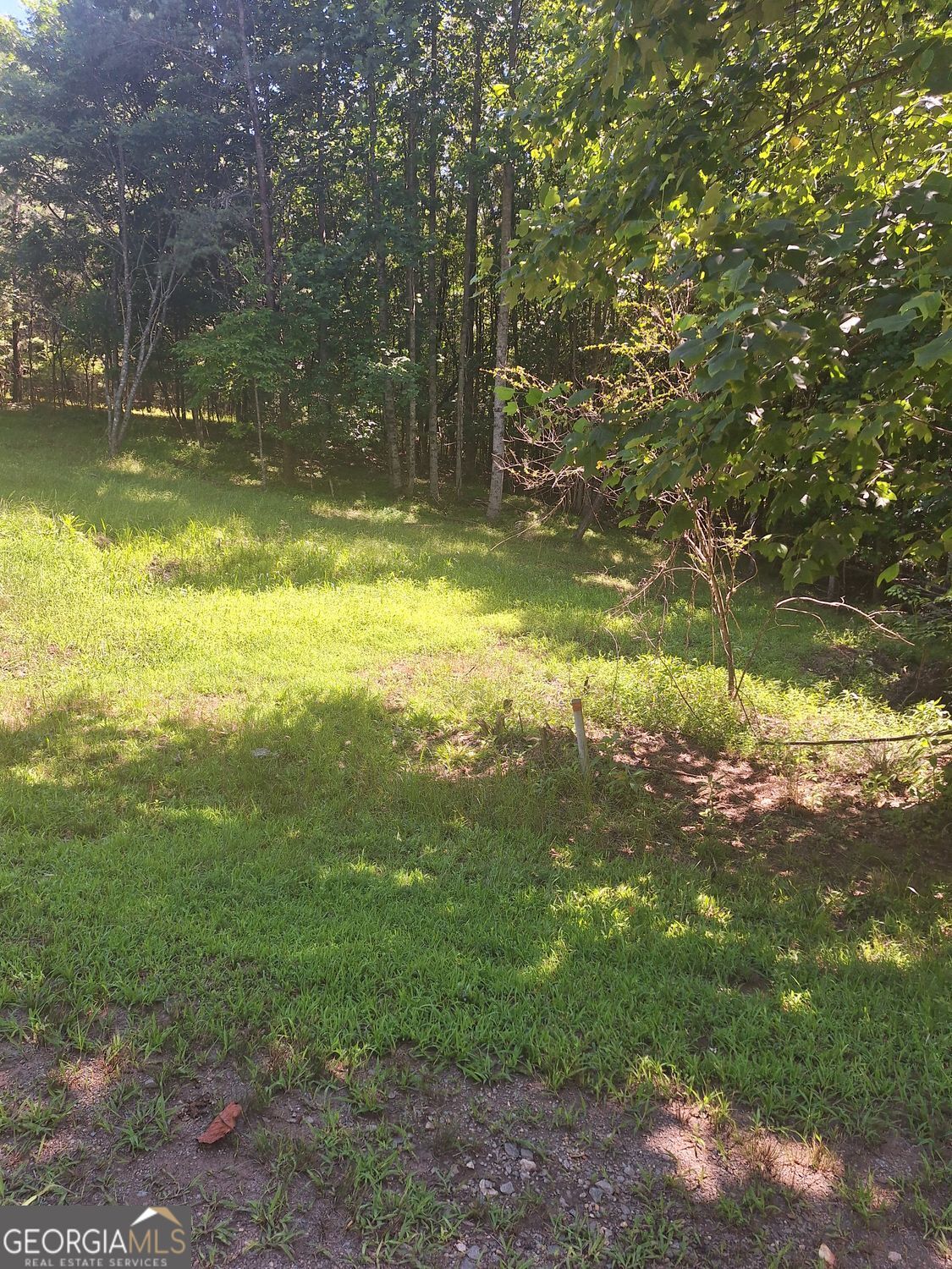 0 Judah Road Morganton, GA 30560 - Photo 4 of 8