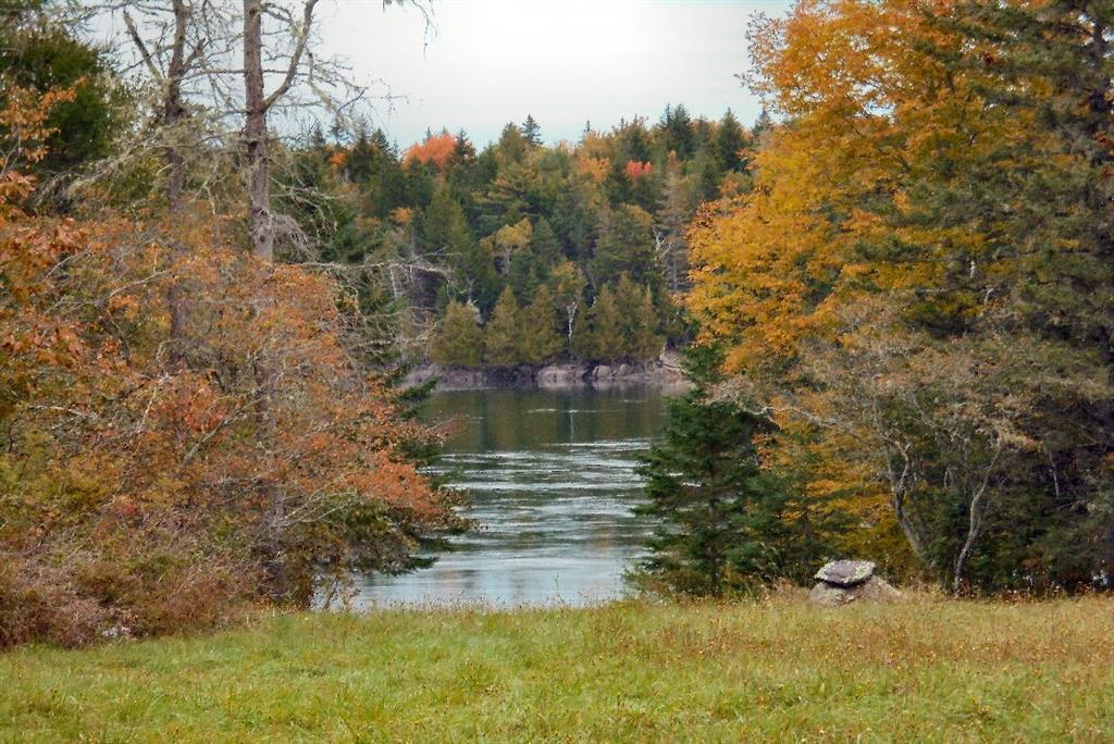 25 Kelly Point Road Lubec, ME 04652 - Photo 22 of 22 Fall High Tide First Meadow