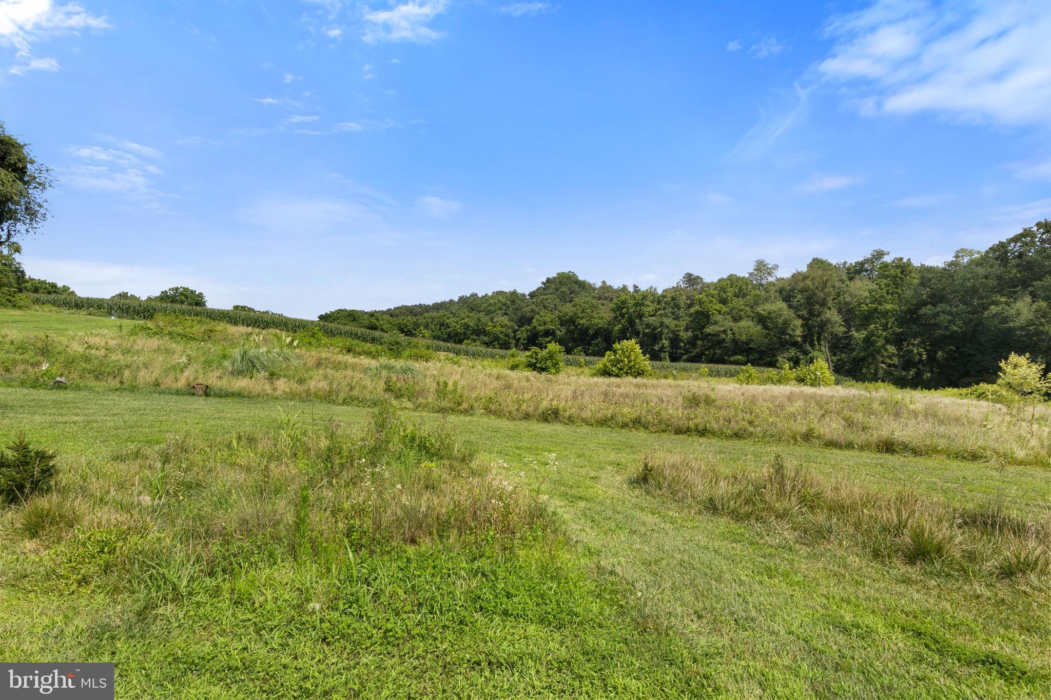 3017 Troyer Road White Hall, MD 21161 - Photo 63 of 92 Gallery Image 63