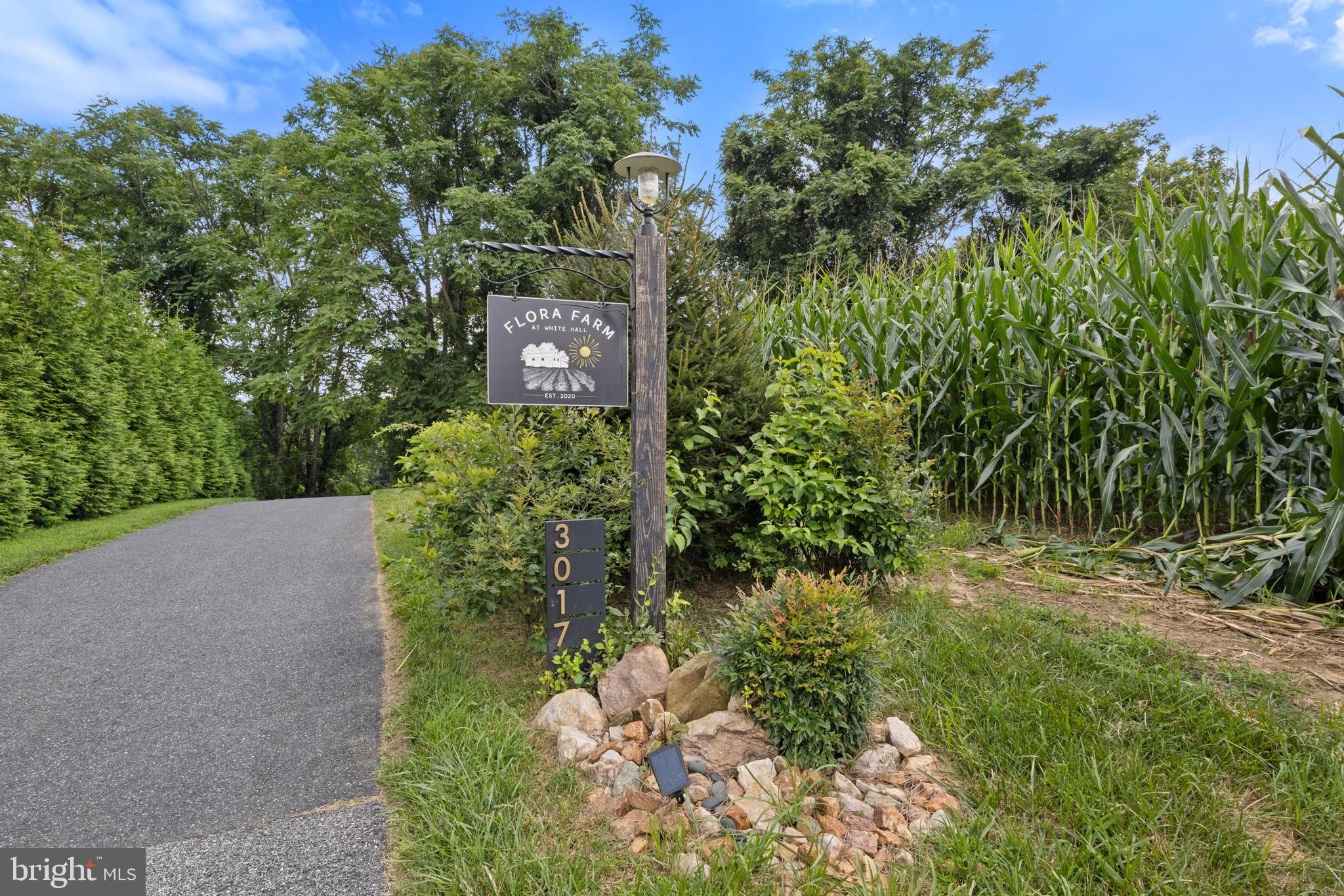 3017 Troyer Road White Hall, MD 21161 - Photo 64 of 92 Gallery Image 64
