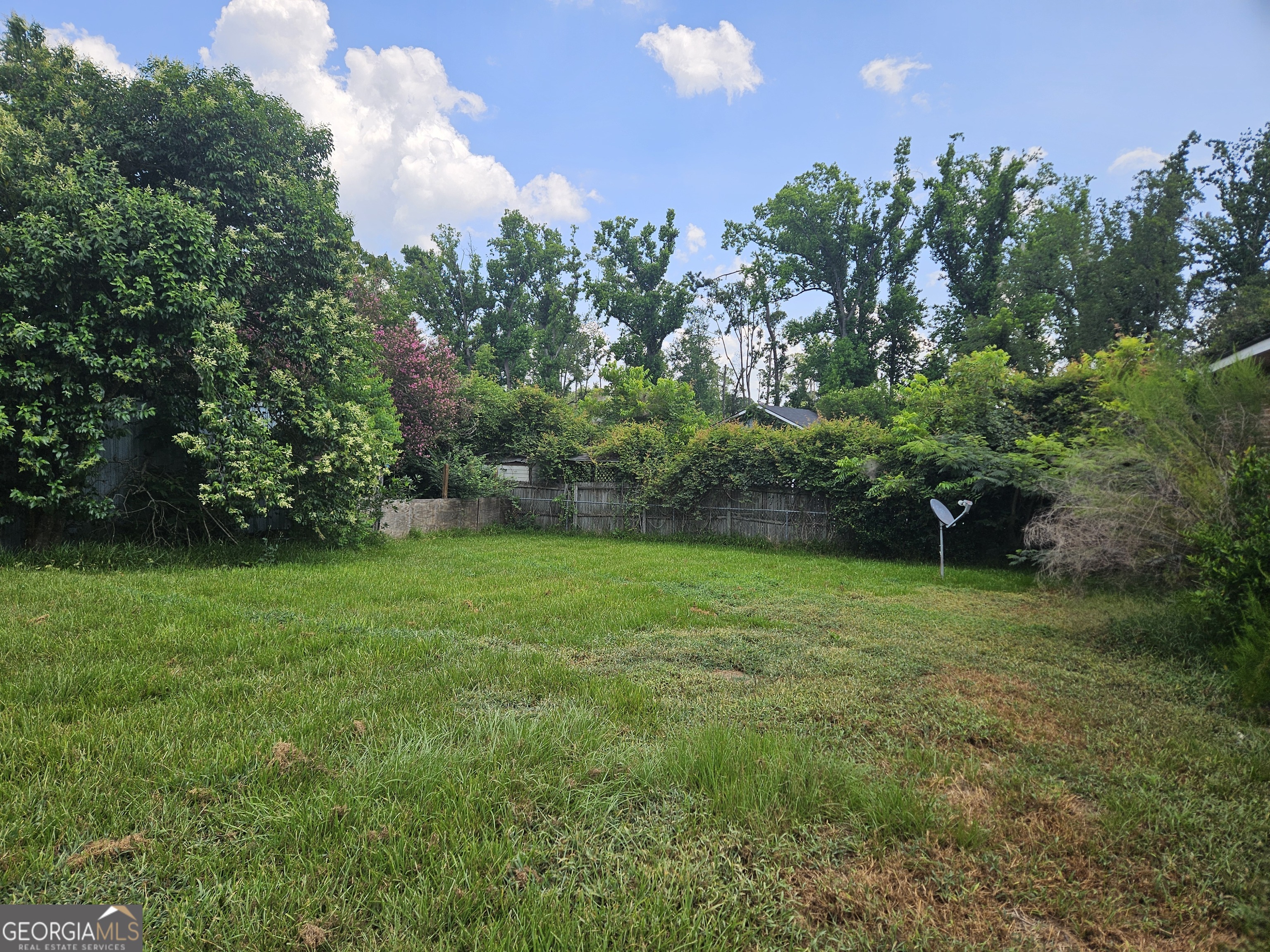 57 Pine Street Hazlehurst, GA 31539 - Photo 7 of 18 BACK YARD