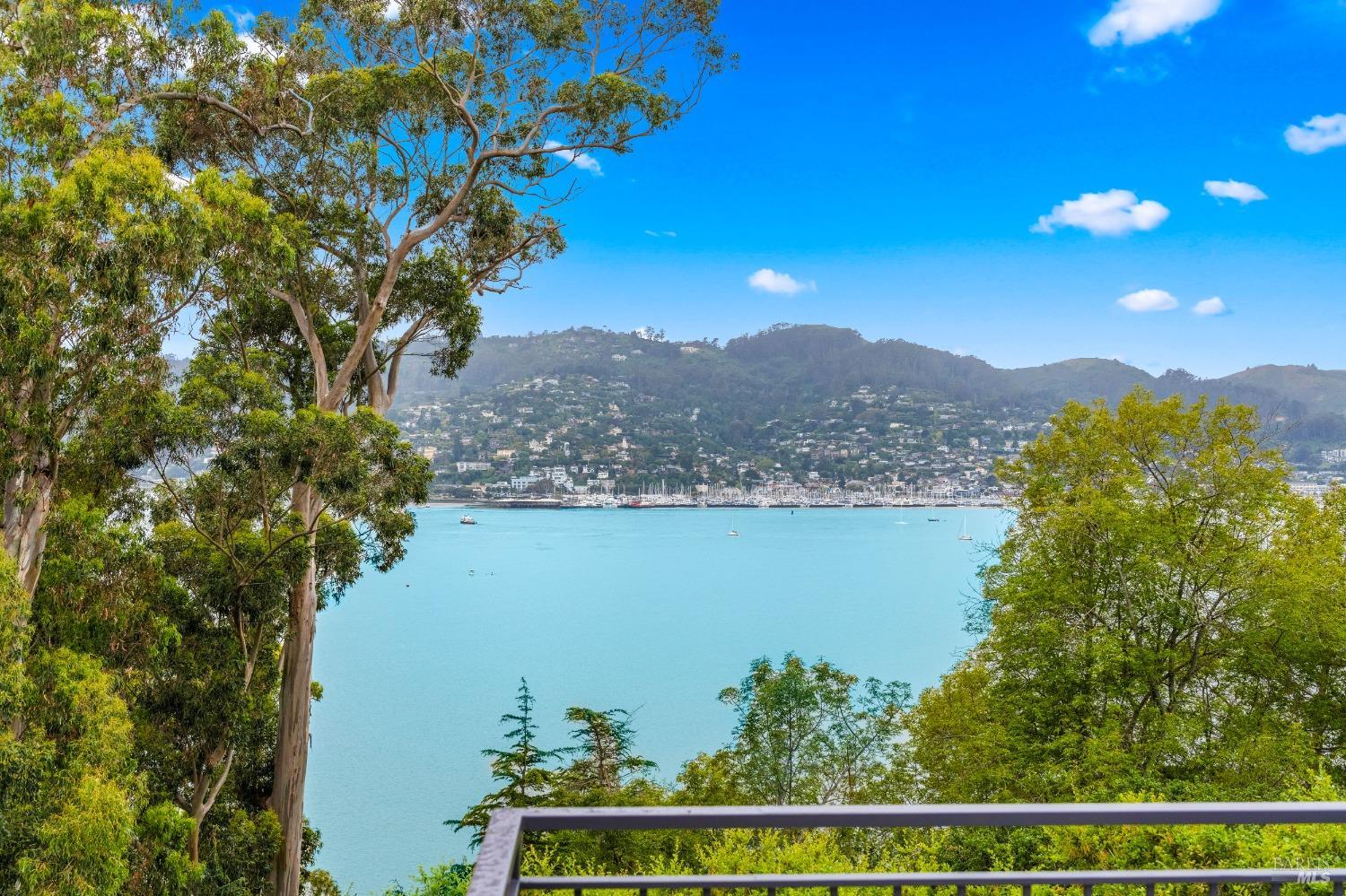 30 Eucalyptus Road Belvedere, CA 94920 - Photo 46 of 46 a view of lake with mountain