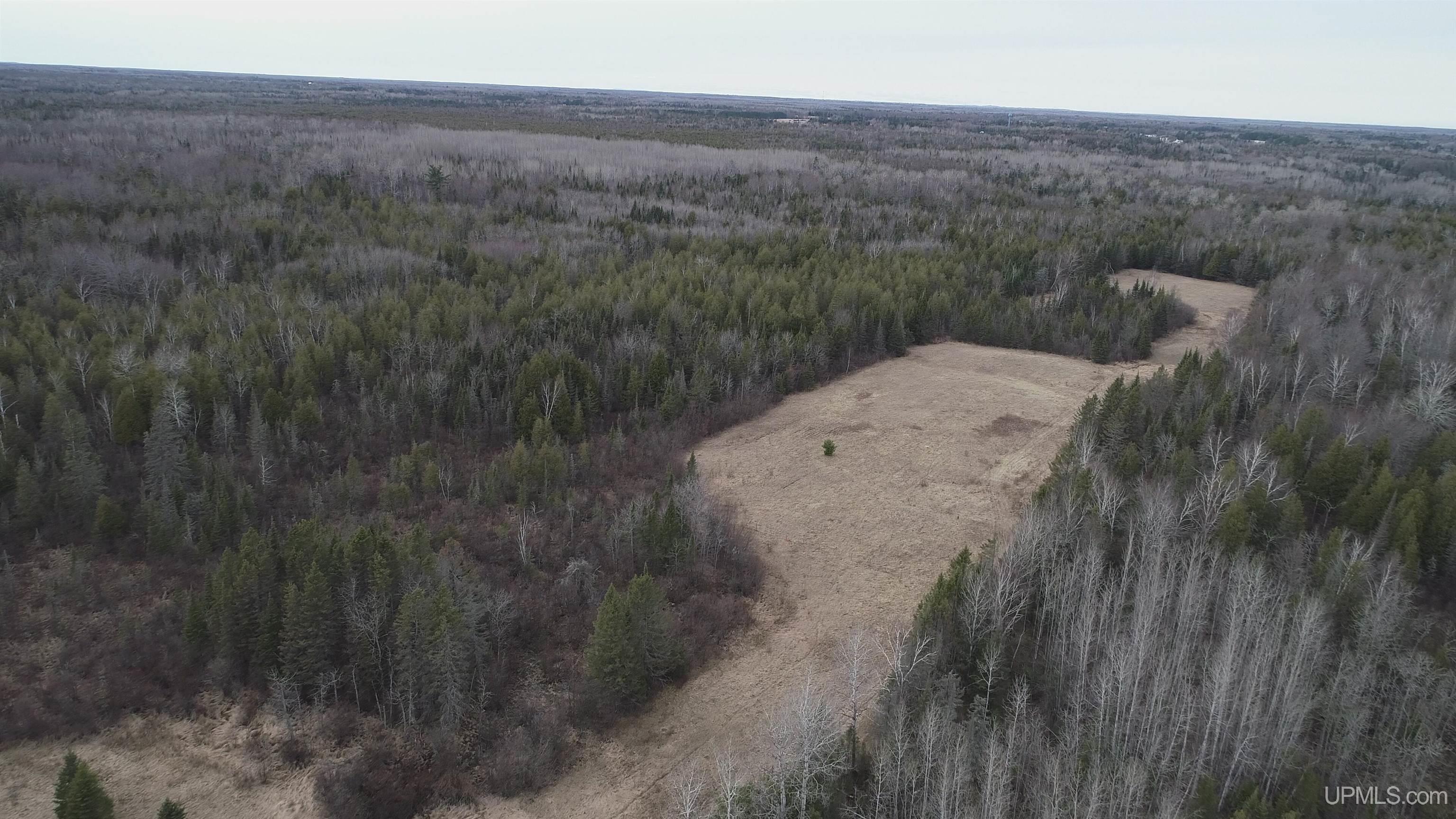 40-acres Trombley 35th Road Rock, MI 49880 - Photo 41 of 62