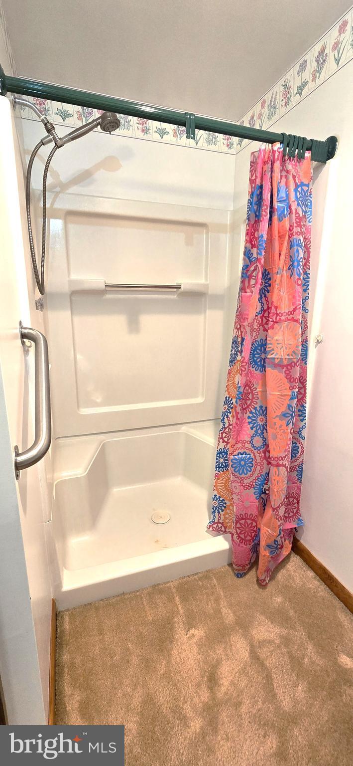 13682 Harbaugh Church Road Rouzerville, PA 17268 - Photo 31 of 42 Walk-in Shower