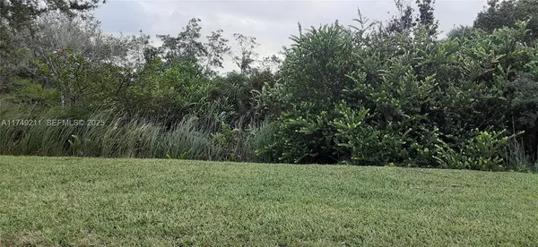 a view of a grassy field