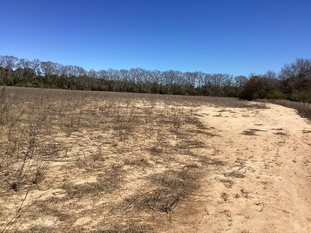 0 Benton Store Road Columbia, AL 36319 - Photo 18 of 24