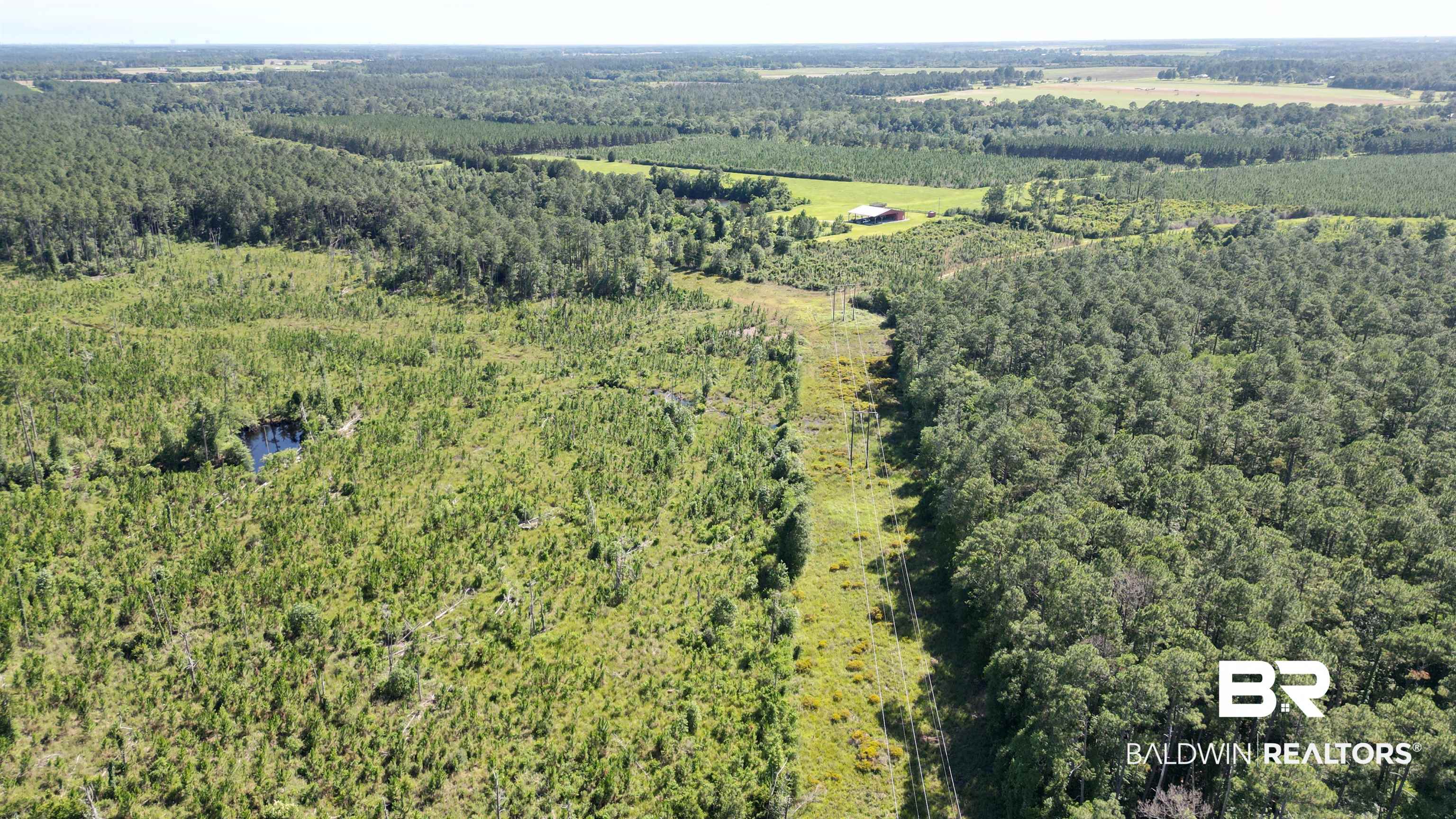 0 County Road 87 Elberta, AL 36530 - Photo 12 of 46