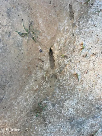 $499,000 | Springwood Trail, Madison, MS 39110